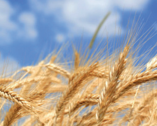 CzechTechnology - AGRO Jesenice přispívá k rozvoji českého zemědělství