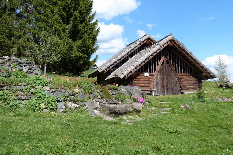 dřevostavby